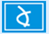 Bangalore NGOs